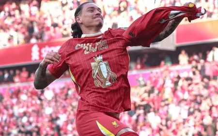 Liverpool'dan Darwin Nunez İçin Şaşırtan Bonservis Talebi