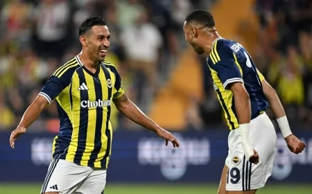 Fenerbahçe Alanyaspor maçı ne zaman oynanacak?