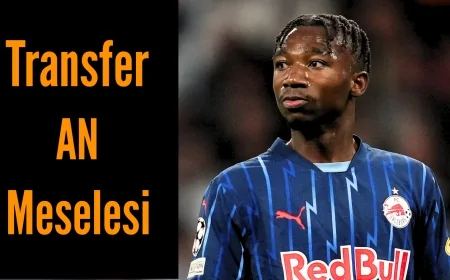 Fenerbahçe, Dorgeles Nene ile Anlaştı! İşte Dorgeles Nene Transfer Maliyeti
