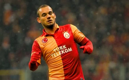 sneijder