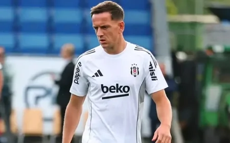 Amir Hadziahmetovic Hull City'de