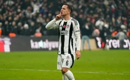 Amir Hadziahmetovic Hull City'e transfer oluyor