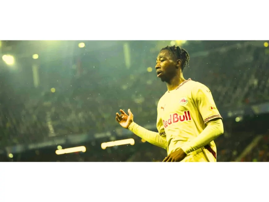 Fenerbahçe, Dorgeles Nene ile Anlaştı! İşte Dorgeles Nene Transfer Maliyeti