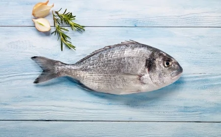 Ulusal Sağlık Enstitüleri Açıkladı: En Çok D Vitamini İçeren Balıklar