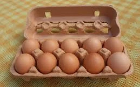 Her Sabah 1 Yumurta Tüketmenin Demans Riskini Yüzde Kaç Engellediği Ortaya Çıktı