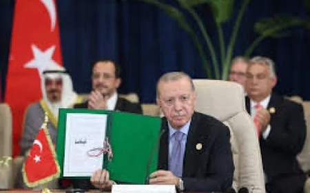 Cumhurbaşkanı Erdoğan: Gazze'nin Yanında Daha Çok Durmalıyız
