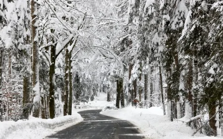 Meteoroloji Uyardı! Kar Yağışı Ne Zaman Başlayacak?