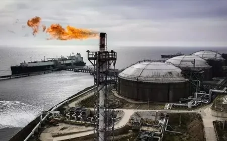 Gazprom Başkanı: Avrupa'da Kış Soğuk Geçerse Kriz Kapıda