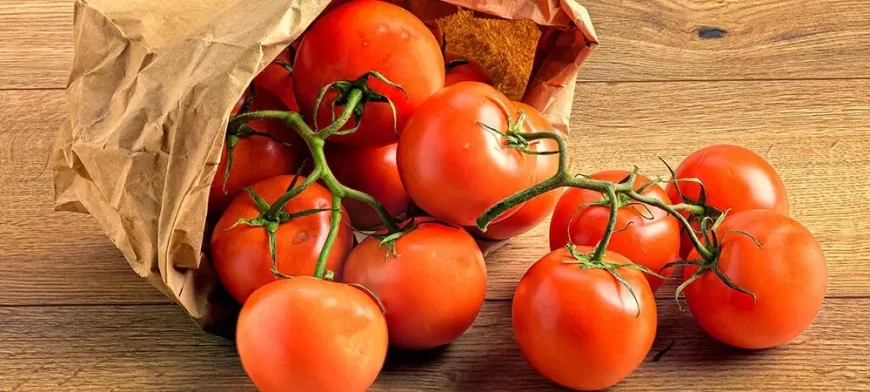 Şifa Diye Kahvaltıda Herkes Tüketiyor! Meğer Domates Zehirmiş