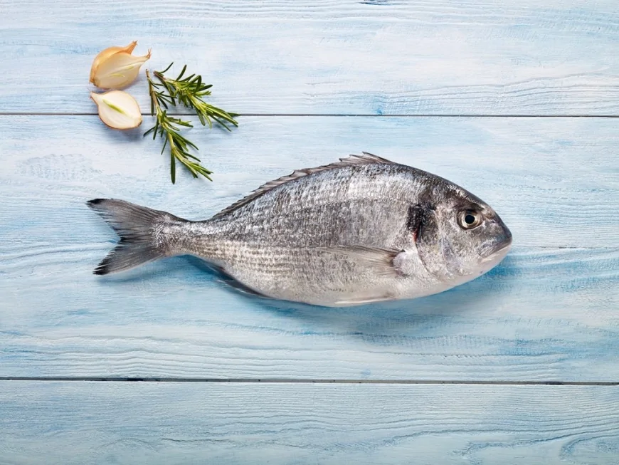 Ulusal Sağlık Enstitüleri Açıkladı: En Çok D Vitamini İçeren Balıklar
