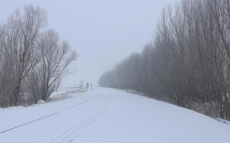 Meteoroloji Uzmanı: Kış Soğuk Ve Yağışlı Geçecek