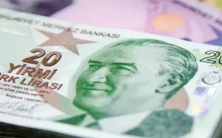 Tarımsal Destek Ödemeleri Yattı Mı? Bakan Yumaklı Duyurdu