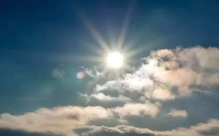 Adana Hava Durumu! Sıcaklıklar Rekor Kırıyor, Arıcılar Zorda