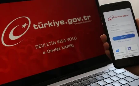 e-Devlet Çöktü Mü, e-Devlet Neden Kapalı?