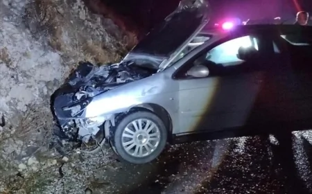 Erzincanda bir otomobilin ayıya çarpması sonucu bir kişi yaralandı