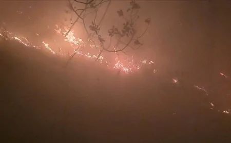 Hatay'da ormanlık alanda yangın çıktı