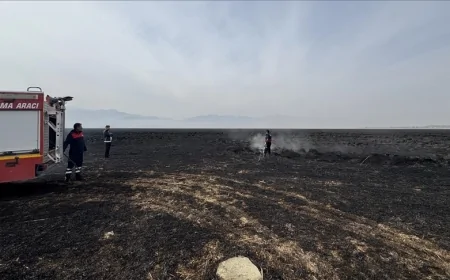 Hakkari'deki Nehil Sazlığı'nda 7 Kasım'da çıkan yangın söndürüldü