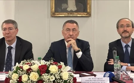 Fuat Oktay, Fransa'da asimile olmadan entegre olmuş bir Türk toplumu istediklerini belirtti