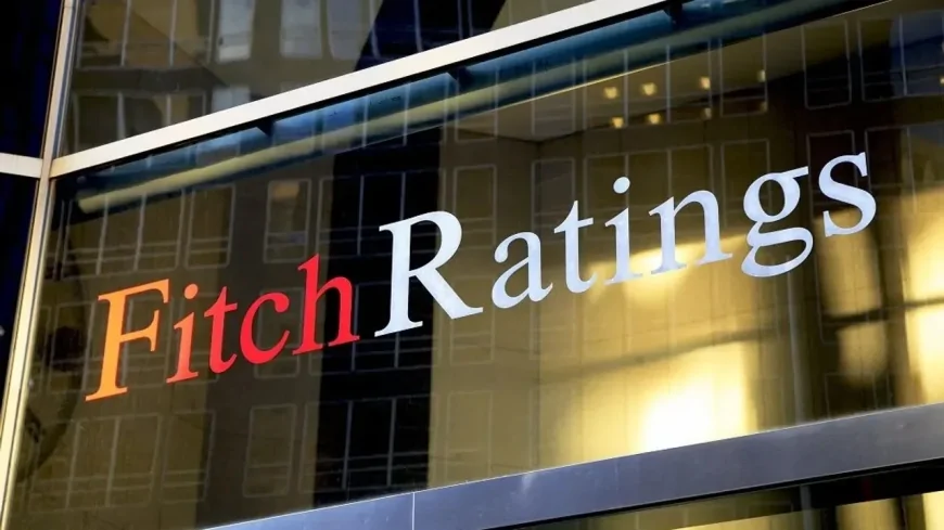 Fitch Ratings'ten Enflasyon Ve Büyüme Hedefi Açıklaması