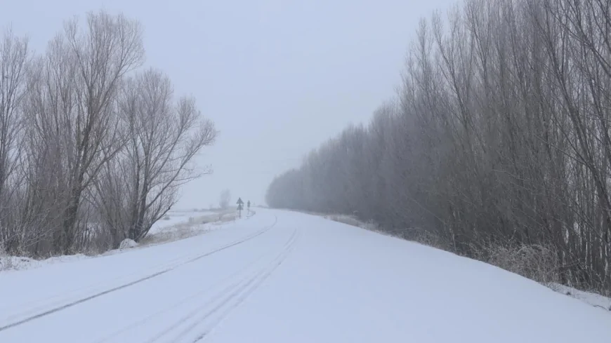 Meteoroloji Uzmanı: Kış Soğuk Ve Yağışlı Geçecek