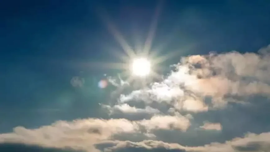 Adana Hava Durumu! Sıcaklıklar Rekor Kırıyor, Arıcılar Zorda