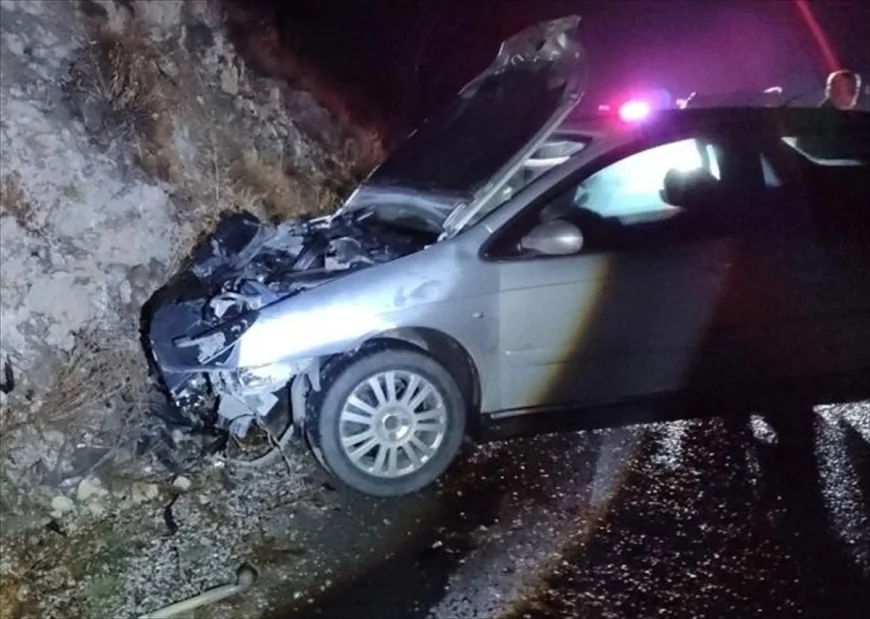 Erzincanda bir otomobilin ayıya çarpması sonucu bir kişi yaralandı