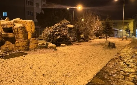 Erzincan ve Karabük'te Kar Yağışının Etkileri