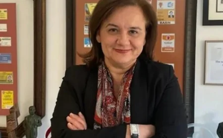 Gazeteci Çiğdem Toker kimdir? Çiğdem Toker kaç yaşında, nereli?