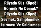 Rüyada Süs Köpeği Görmek Ne Demek? Rüyada Süs Köpeği Sevmek, Sahiplenmek, Isırması Ve Saldırması Anlamı