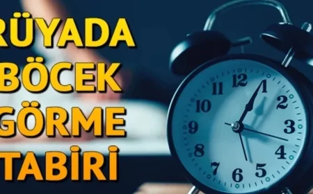 Rüyada böcek görmek ne anlama gelir? Rüyada böcek öldürmek