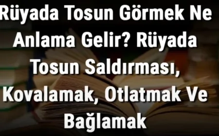 Rüyada Tosun Görmek Ne Anlama Gelir? Rüyada Tosun Saldırması, Kovalamak, Otlatmak Ve Bağlamak Ne Anlama Gelir?