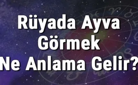 Rüyada Ayva Görmek Ne Anlama Gelir? Rüyada Ayva Yemek Ve Toplamak Anlamı