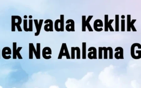 Rüyada Keklik Görmek Ne Anlama Gelir? Rüyada Keklik Avlamak Ve Yakalamak
