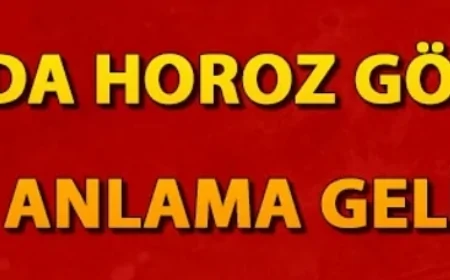 Rüyada horoz görmek ne anlama gelir? Rüyada horoz kesmek