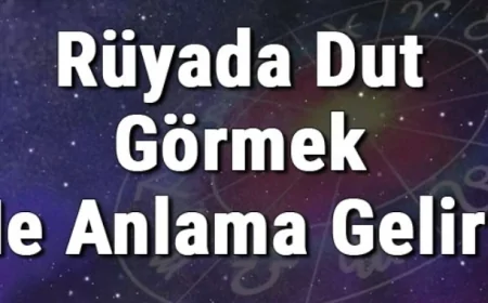 Rüyada Dut Görmek Ne Anlama Gelir? Rüyada Dut Yemek Ve Toplamak