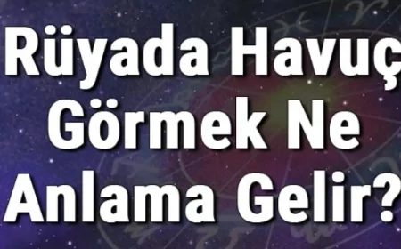 Rüyada Havuç Görmek Ne Anlama Gelir? Rüyada Havuç Yemek, Almak Ve Toplamak