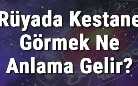 Rüyada Kestane Görmek Ne Anlama Gelir? Rüyada Kestane Almak, Yemek Ve Toplamak