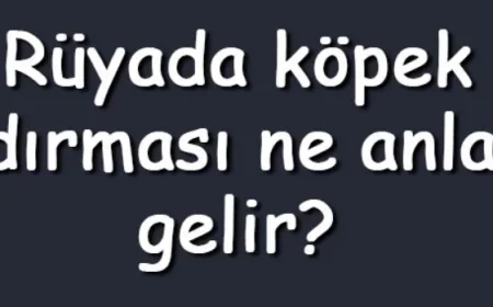 Rüyada köpek saldırması ne anlama gelir? Rüyada siyah, beyaz, kahverengi bir köpeğin arkadaşına ve kardeşine saldırması anlamı
