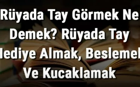 Rüyada Tay Görmek Ne Demek? Rüyada Tay Hediye Almak, Beslemek Ve Kucaklamak Anlamı