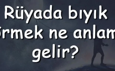 Rüyada bıyık görmek ne anlama gelir? Rüyada bıyık bırakmak, kesmek ve almak