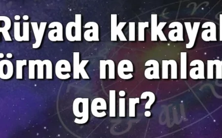 Rüyada kırkayak görmek ne anlama gelir? Rüyada kırkayak sokması ve kovalaması