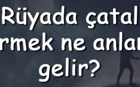 Rüyada çatal görmek ne anlama gelir? Rüyada çatal almak ve yıkamak