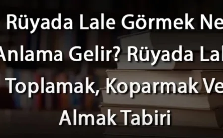 Rüyada Lale Görmek Ne Anlama Gelir? Rüyada Lale Toplamak, Koparmak Ve Almak