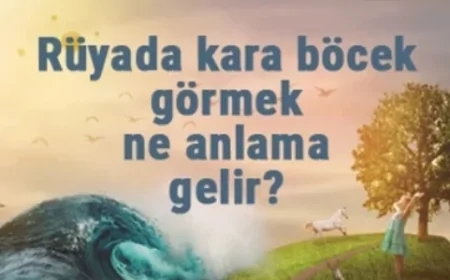 Rüyada kara böcek görmek ne anlama gelir? Rüyada karaböcek kovalamak, öldürmek ve elini ısırması