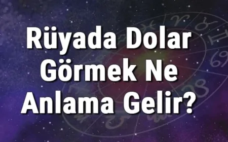Rüyada Dolar Görmek Ne Anlama Gelir? Rüyada Dolar Bulmak, Saymak Ve Almak