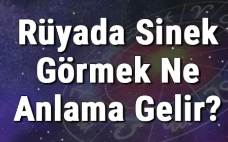 Rüyada Sinek Görmek Ne Anlama Gelir? Rüyada Sinek Öldürmek Ve Yakalamak