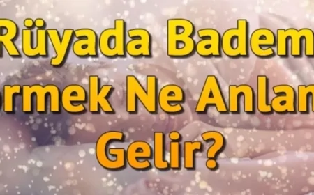 Rüyada Badem Görmek Ne Anlama Gelir? Rüyada Badem Yemek, Toplamak Ve Almak