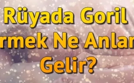 Rüyada Goril Görmek Ne Anlama Gelir? Rüyada Goril Sevmek Ve Goril Yavrusu Görmek
