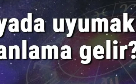 Rüyada uyumak ne anlama gelir? Rüyada arabada, sınıfta ve yatakta uyumak