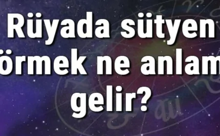 Rüyada sütyen görmek ne anlama gelir? Rüyada sütyen takmak ve denemek